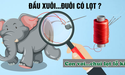 ĐẦU XUÔI… ĐUÔI CÓ LỌT?